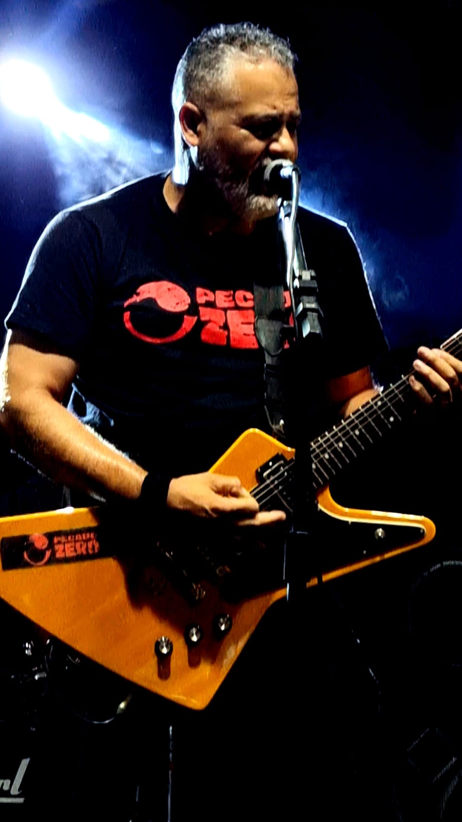 Metallica Billboard Image Display Project