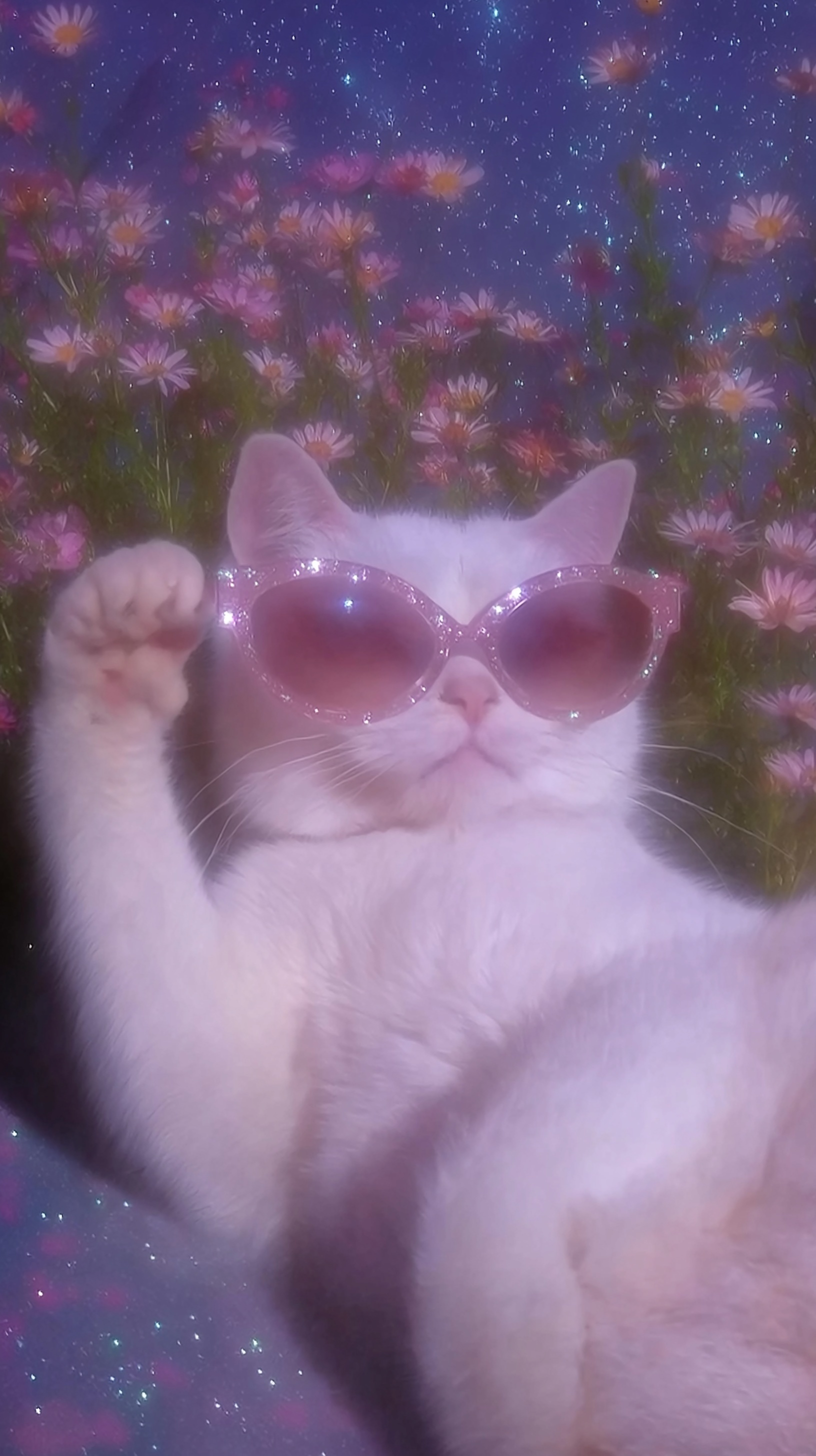 Cool Cat Relaxing in a Flower Field at Night