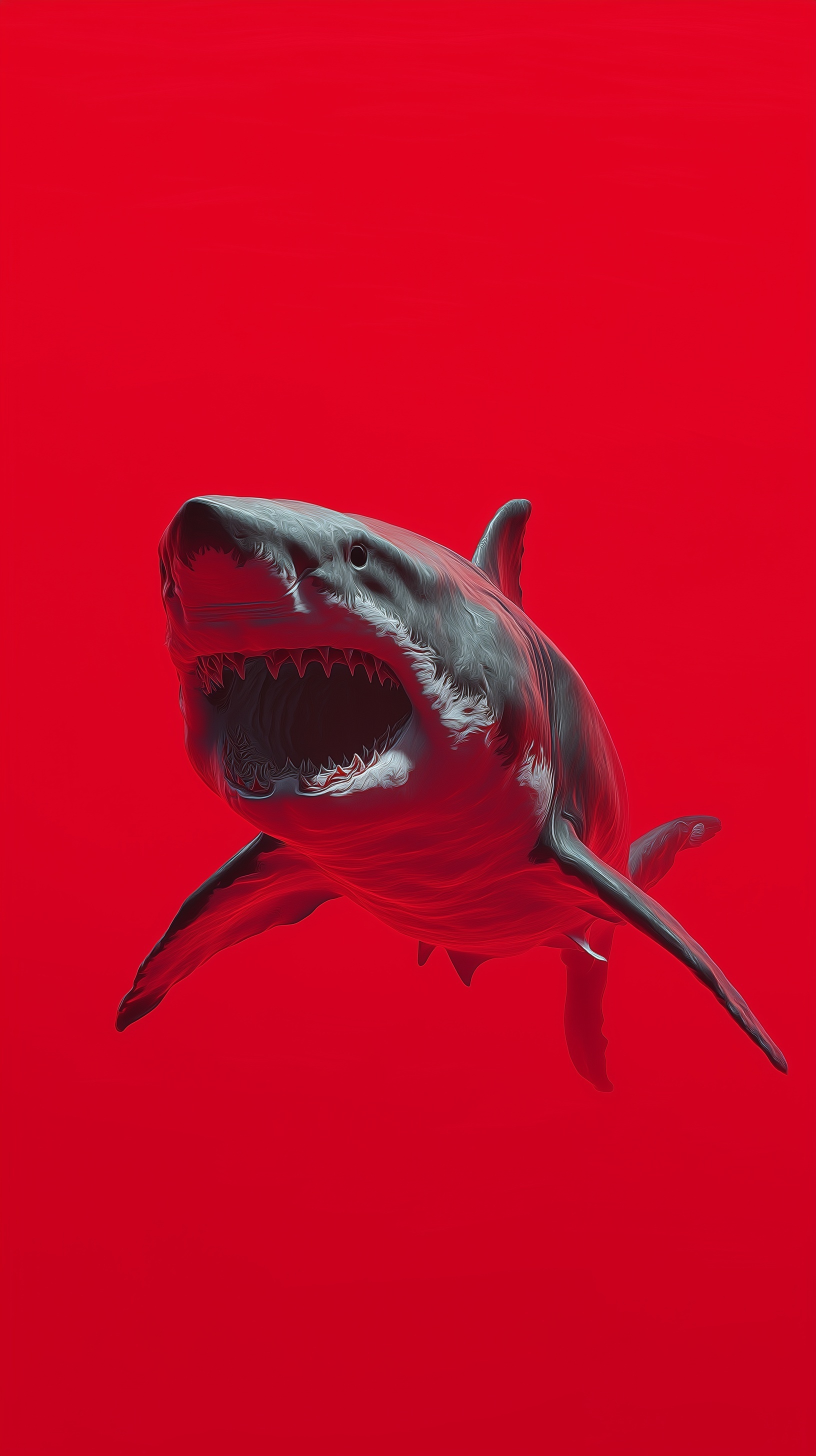 Realistic Sea Monster Shark on Red Background