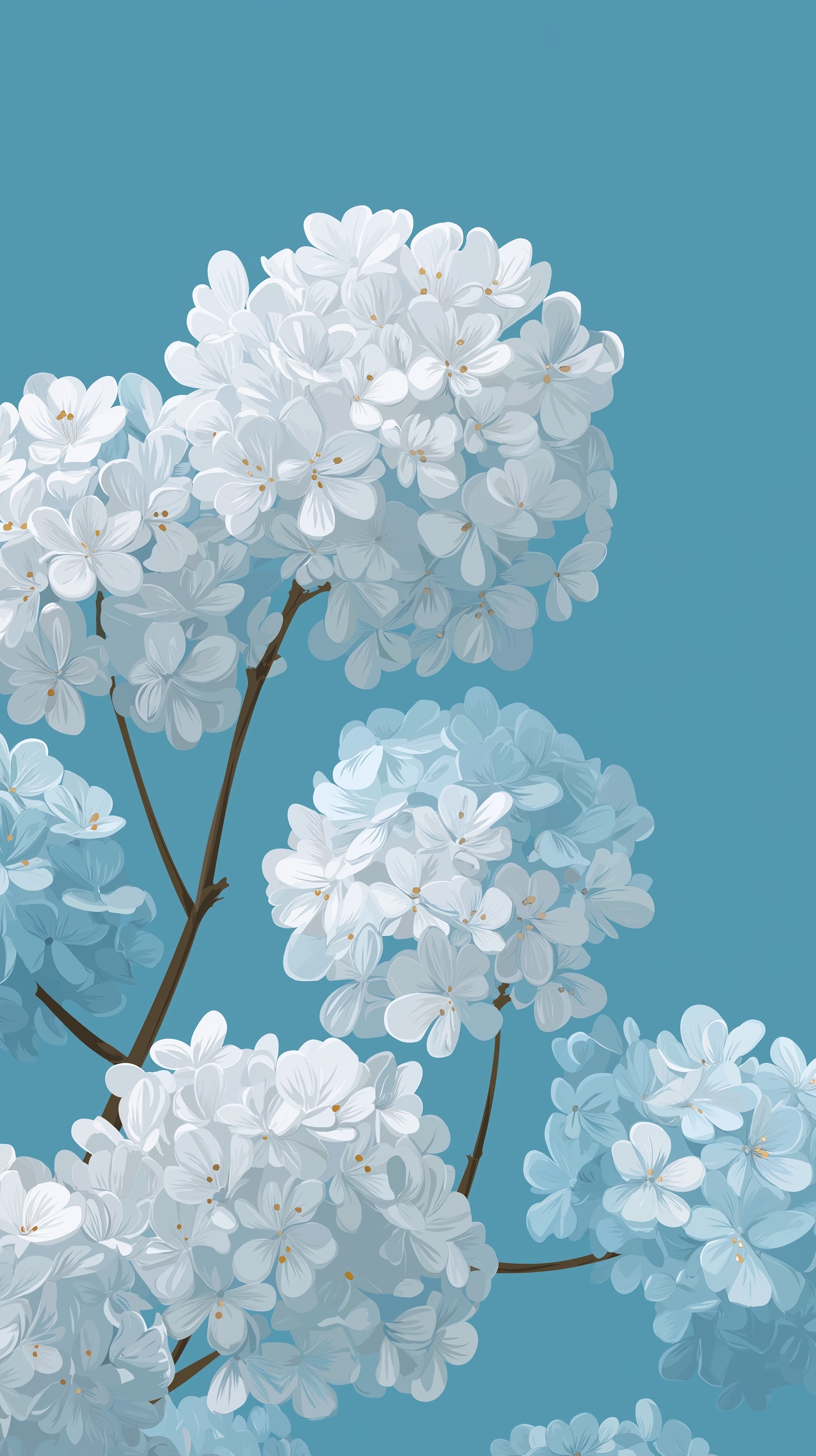White Hydrangeas on Powder Blue Background